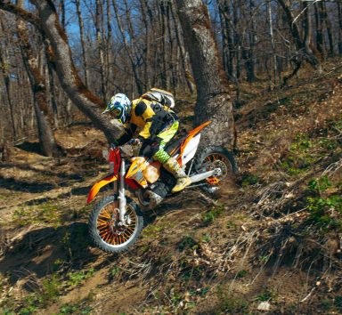 moto trial en foret