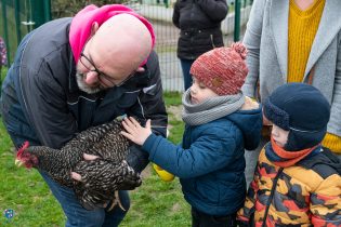 Agrandir l'image, fenêtre modale