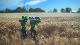 Agrandir l'image, fenêtre modale