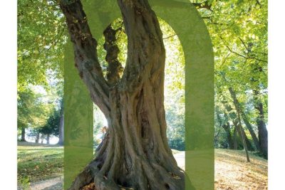 Agrandir l'image 3 sur 3, fenêtre modale