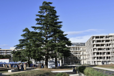 Agrandir l'image 2 sur 2, fenêtre modale