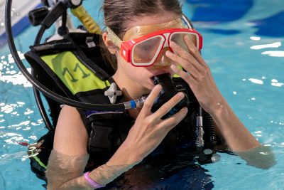 Agrandir l'image 31 sur 39, fenêtre modale