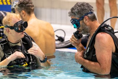 Agrandir l'image 29 sur 39, fenêtre modale