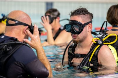 Agrandir l'image 26 sur 39, fenêtre modale