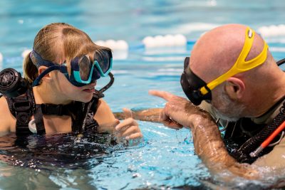 Agrandir l'image 10 sur 39, fenêtre modale