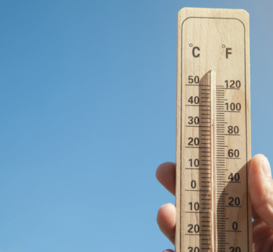 canicule